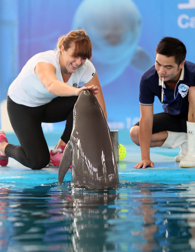 还具备一定 还具备一定